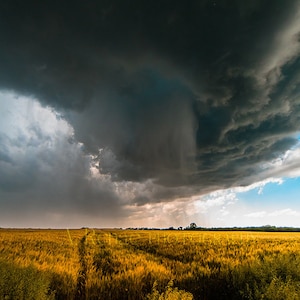 Kansas Wheat Field Storm Photography: Country Landscape Art Print