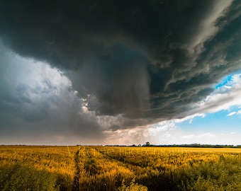 Kansas Wheat Field Storm Photography: Country Landscape Art Print