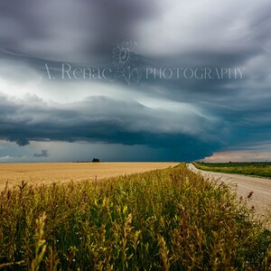 Kansas Storm Photography Print: Wheat Field Landscape Canvas Art