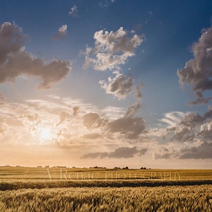 Kansas Wheat Field Sunset Print: Country Landscape Wall Art