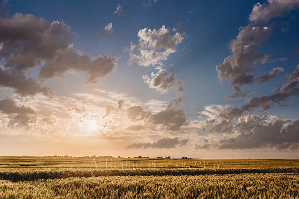 Kansas Wheat Field Sunset Print: Country Landscape Wall Art - Etsy