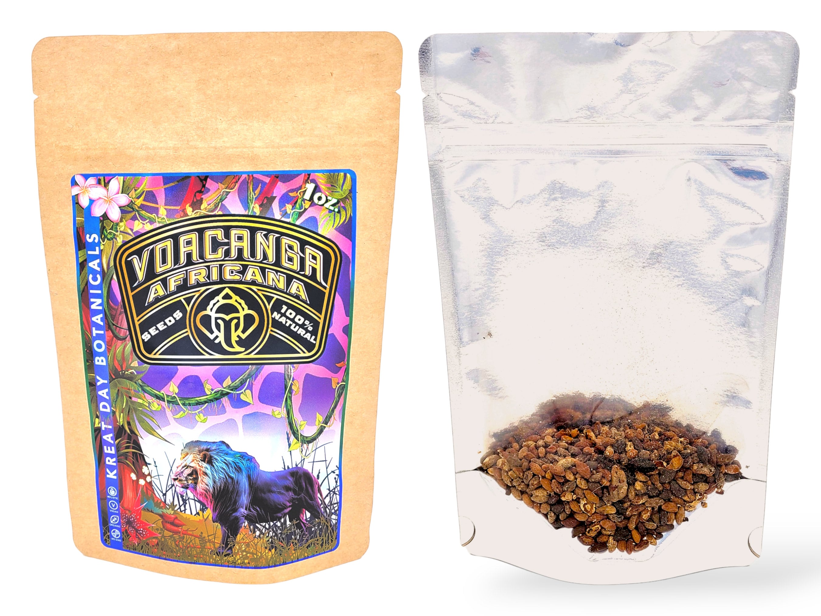 Voacanga africana（ボアカンガ・アフリカーナ）の種子 200粒 Voacanga africana（ボアカンガ・アフリカーナ）の種子 200粒 【公式通販】