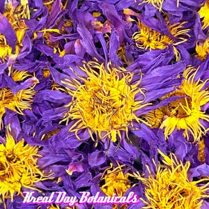 Whole Blue Lotus Flower - Small Farm Grown Nymphaea Caerulea Blooms image 1