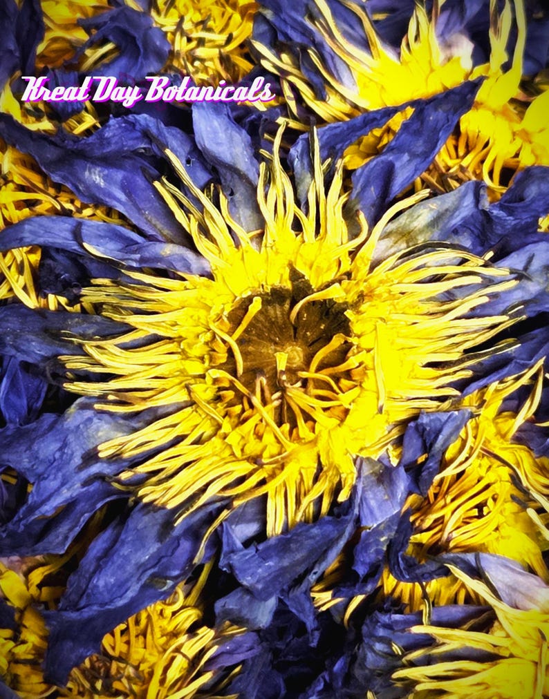 May include: A collection of dried blue lotus flowers with vibrant yellow stamens and deep blue petals. The text Kreat Day Botanicals is printed in white with a pink outline across the top left portion of the floral arrangement.