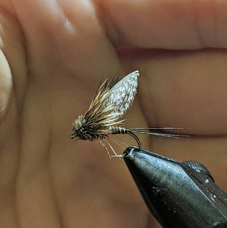 Muddler Mayfly