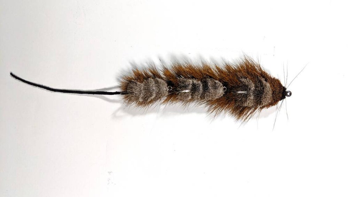 10 Inch Muskrat Fly Musky Pike Xander Bass Perch Big Game Fish Tied to