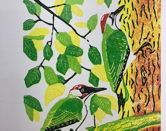 Green Woodpecker on Beech Tree limited edition linocut print