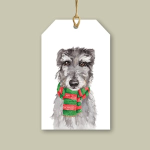 StreetVet Swift - Charity Christmas Gift Tag