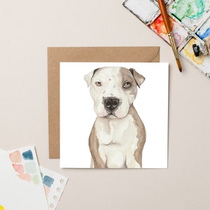 Tarjeta en blanco de caridad StreetVet Ty