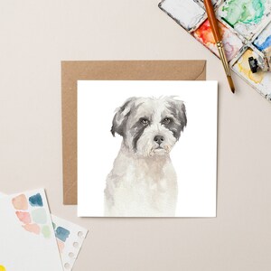 Blanco StreetVet Bella Charity-kaart