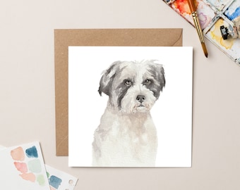 StreetVet Bella Charity Blank Card