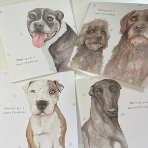 Freddie & Friends 4 Card StreetVet Paquete de Navidad