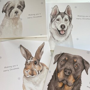 Bella & Friends 4 Card Zestaw świąteczny StreetVet