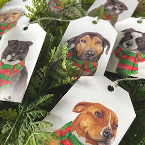 Paquete variado de etiquetas de regalo navideñas de caridad de StreetVet