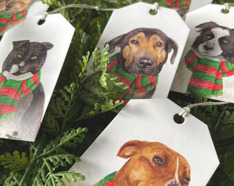 StreetVet Charity Weihnachtsgeschenkanhänger-Variety Pack