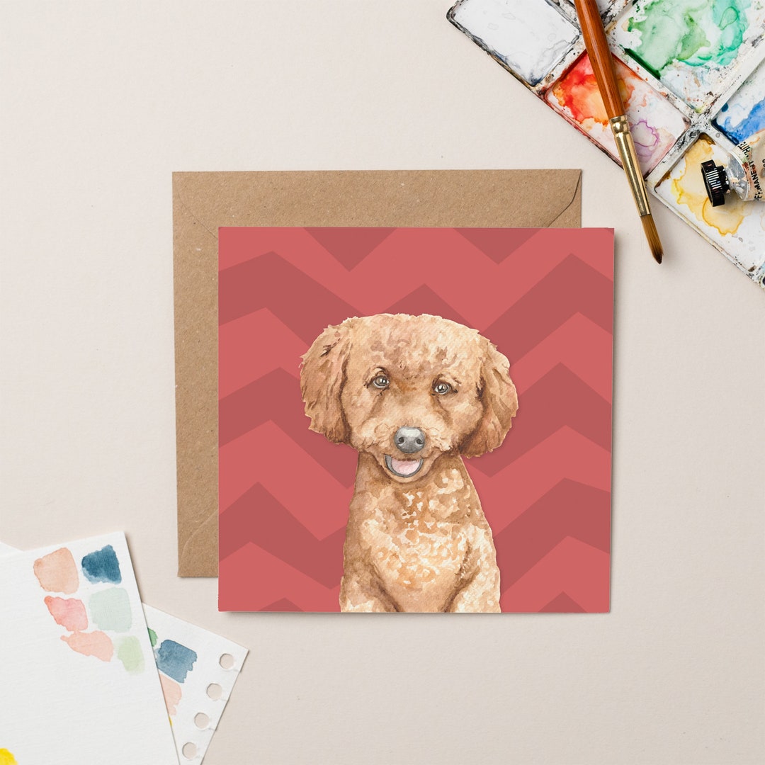 Cockapoo Photo Card Cockapoo Everyday Card - Etsy