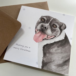 Tarjeta de Navidad de Caridad StreetVet Benson
