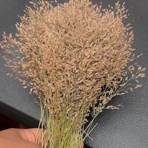 Gepresste Blumen Detaillierte Harz Materialien Natur Strapazierfähige Sprigs Bündel von einzigartigen getrockneten Blumen Dekoren für Kartenherstellung Resin Projekte