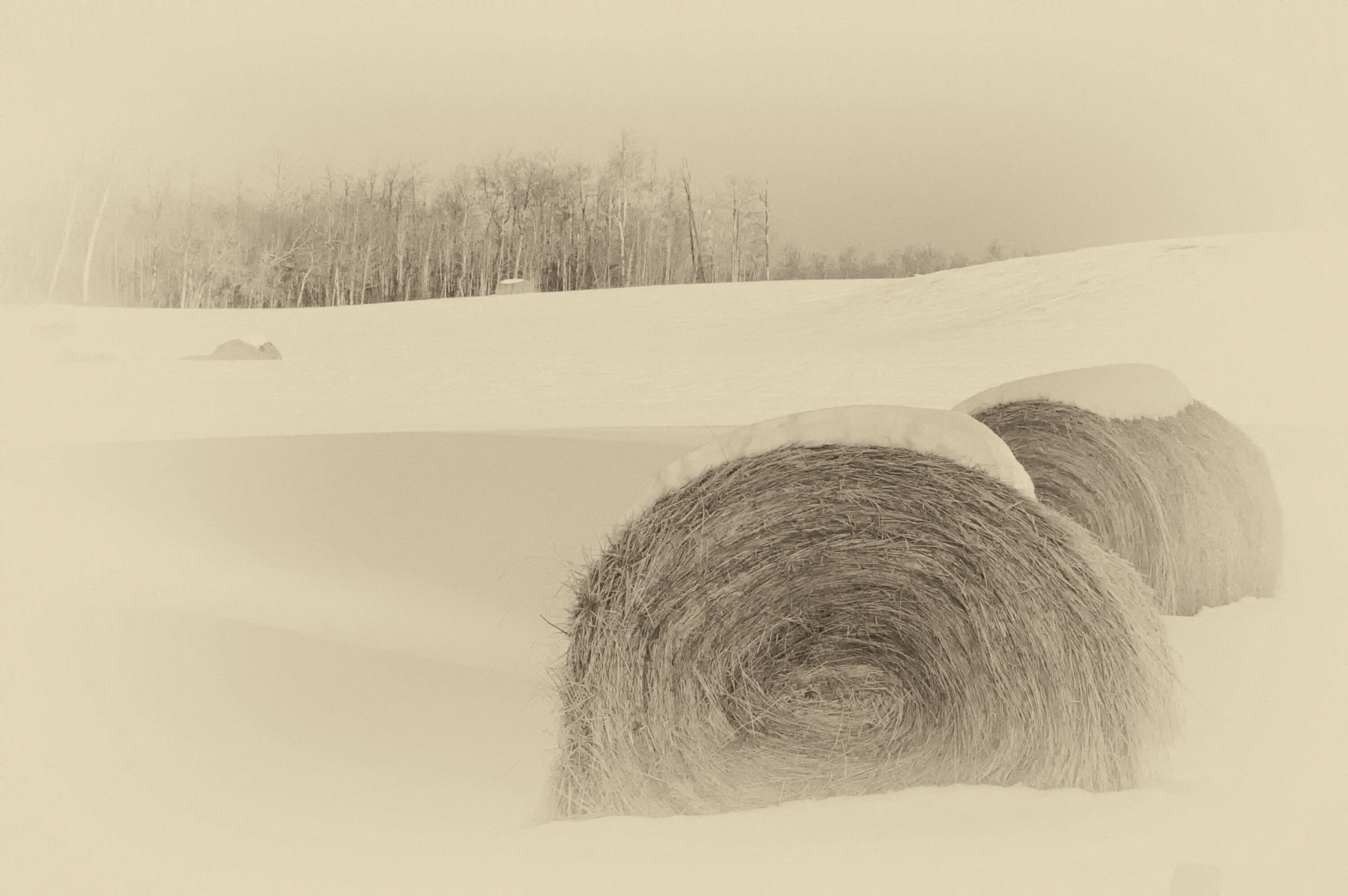 Hay Bales Covered In Snow In A Farmer S Field In Alberta Etsy