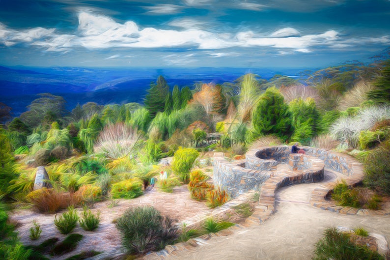 Botanic Garden Blue Mountains Mt. Tomah Australia NSW photo Etsy