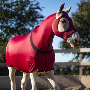 Lycra gladder volledige body met volledige ritssluiting, middelzwaar 220 g