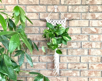 Macrame plant hanger | Wall mounted plant hanger | Boho inspired home decor | Unique gift idea