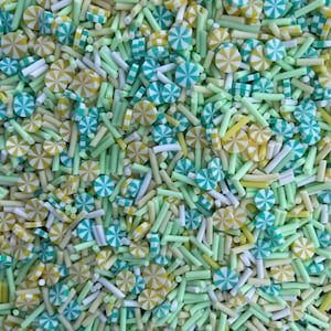 5g/10g/20g/100g Mixed Color Light Blue Green Yellow White Sprinkles Polymer Clay Slices, Green Sprinkles  Candy Slices Candy Kawaii Sprinkle