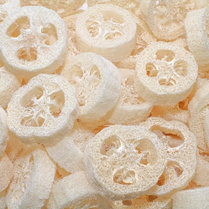 Luffa für die Seifenherstellung 7/8 &quot;umweltfreundliches, natürliches Schwamm-Peeling, Mayan Luffa, Bio-Luffa, Badeschwamm Luffa, Lufa, Luffa, Seife einbetten