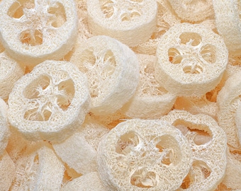 May include: A close-up of a pile of natural loofah sponges, also known as luffa, in a light beige color. The sponges are round and have a textured, porous surface.