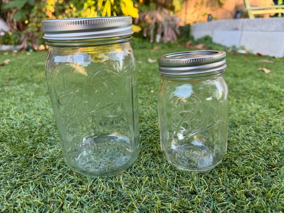 Ball Pint Mason Jar 16 Unze Regular Mouth Glas mit Deckel & Band | Klar | Hergestellt in den USA | Neu | Einzelglas