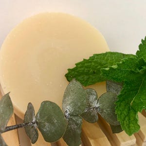 Spearmint Eucalyptus Solid Shampoo, Vegan Shampoo Bar, Plastic Free Shampoo, Bar Shampoo, Essential Oil Shampoo, Natural Shampoo Bar