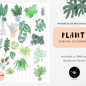House Plant Stickers for Digital Planners , Decorative Botanical Plants Stickers, Nature Digital Sticker Set, Goodnotes and PNG file,