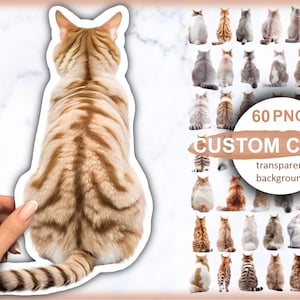 Cat clipart, Cat png, a cat with its back, cute cats, a kitten, kittens with a back