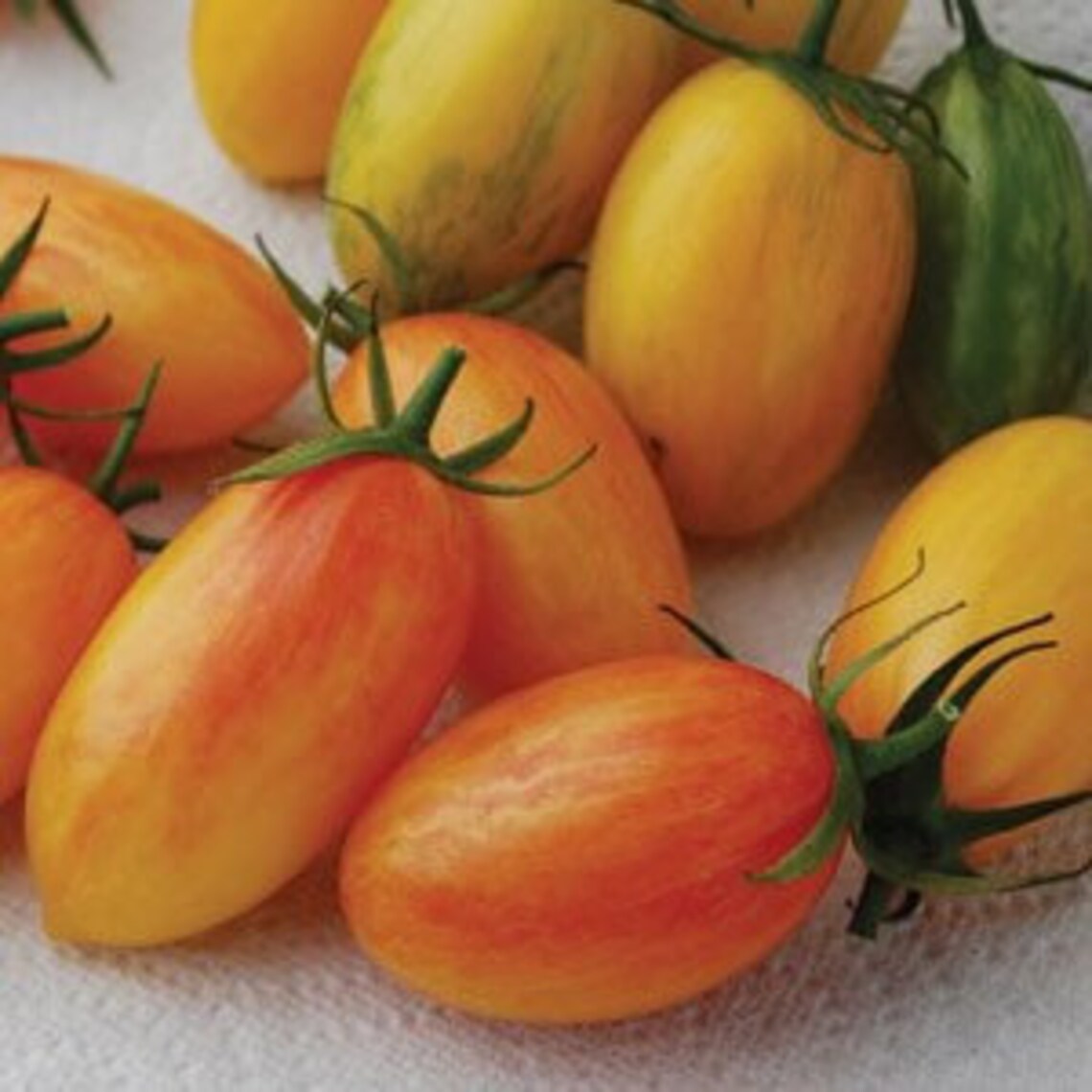 Blush Tomato 30 Seeds Etsy