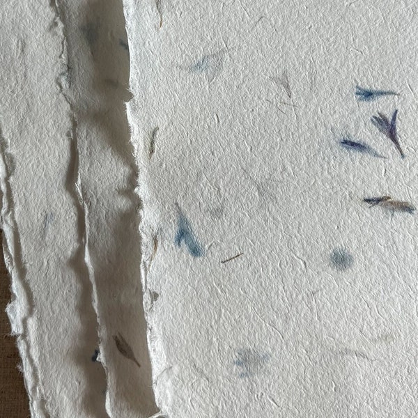 Handgemachtes Papier mit blauen Blütenblättern von Kornblumen, natürlich strukturiert mit Büttenrändern, ethisch hergestellt aus Pflanzenfasern und blauen Blumen
