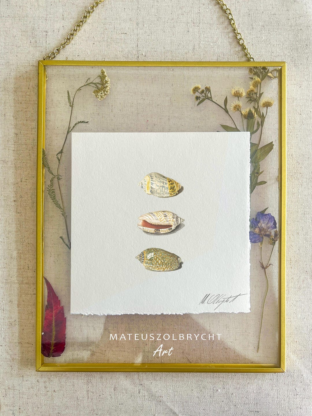 Visual Reference: Three Seashells Miniature Marine Life Lithographic Art Print Snail