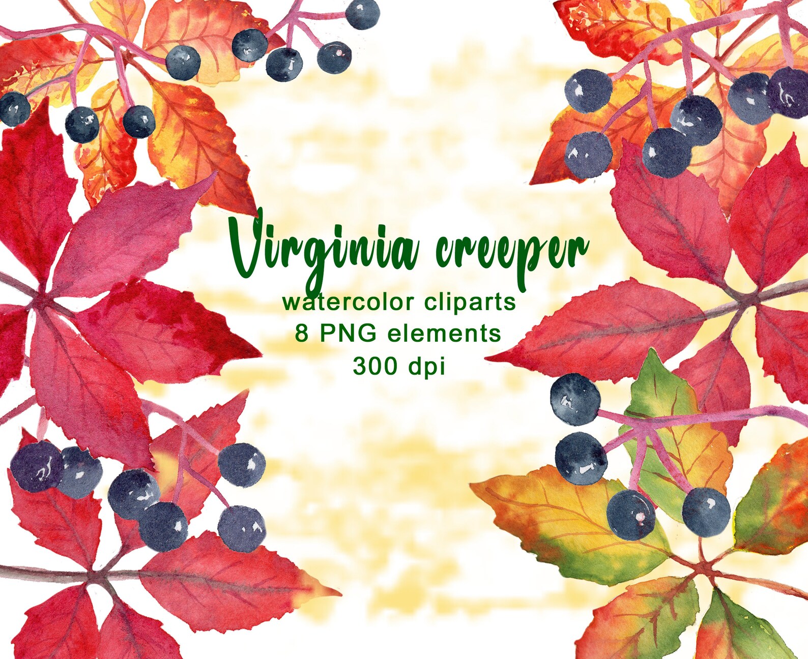 Virginia Creeper watercolr clipart set Wild Grape Clipart Etsy