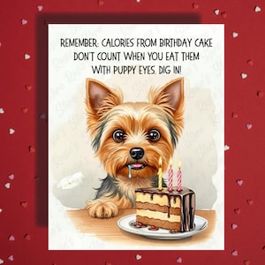 Cartão de Feliz Aniversário para Amiga, Ela, Ele, Yorkie, Amante de Animais, Ideias Engraçadas para Presentes