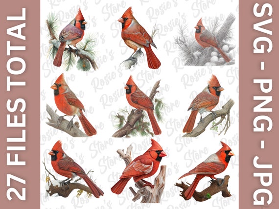 Cardinals Silhouettes coffee painting Canvas Print