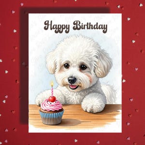 Birthday Greeting Card Bichon Frise Dog Pet Lover Illustrated Cards Happy Birthday Gift Ideas for Dog Mom Dad Her Him Best Friend