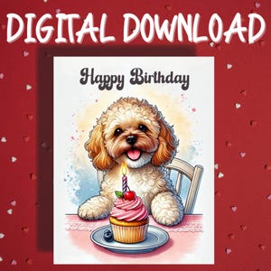 Utskrivbart födelsedagskort Cavapoo hund husdjursälskare illustrerade kort Grattis på födelsedagen presentidéer till henne honom vän digital nedladdning