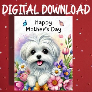 Cartão para impressão de Dia das Mães, download digital, cartões ilustrados para amantes de animais de estimação, cachorro maltês, para mãe, ideias de presentes para ela