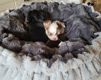 Wendbare Hundebettchen, Kuschelnestchen, Fellimitat, Chihuahua, Yorkie