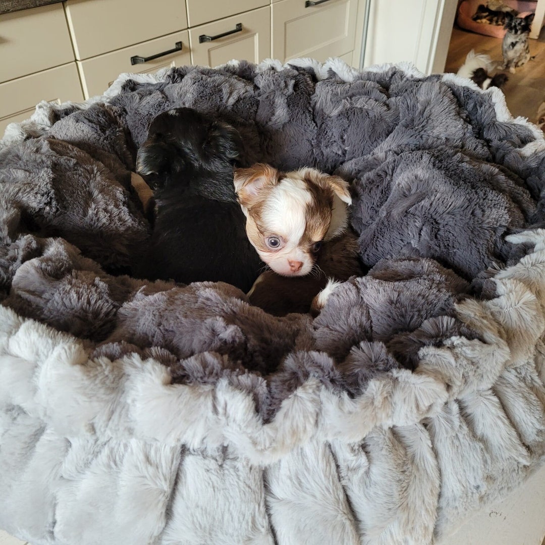 Reversible Dog Beds, Thermal Beds, Cuddly Nests. Faux Fur Etsy