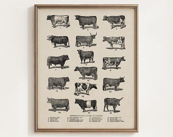 Breeds of Cow Printable, Farm Animal Chart, Vintage Livestock Wall Art, Rustic Kitchen Decor, Ranch Cattle Gift, Digital Download