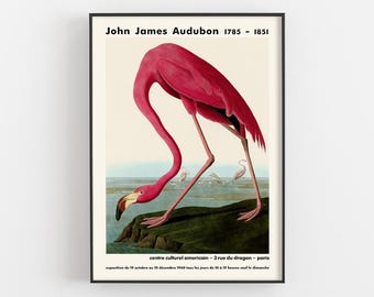 Manifesto della mostra Flamingo di John James Audubon, arte ornitologica, stampa museale, arredamento per case sulla spiaggia, uccelli d'America, parete della galleria, regali