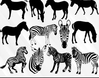 Download Baby Zebra Svg Etsy