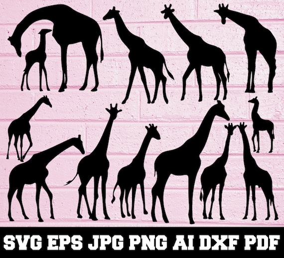 Download Giraffe Svg Giraffe Silhouette Animal Svg Giraffe Bundle Etsy