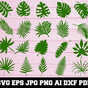 Tropical Leaves SVG - Tropical Leaves Silhouette - Leaves Bundle SVG - Tropical Leaves Clipart - Tropical Leaves Cut File- Instant Download