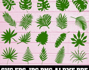 Tropical Leaves SVG - Tropical Leaves Silhouette - Leaves Bundle SVG - Tropical Leaves Clipart - Tropical Leaves Cut File- Instant Download